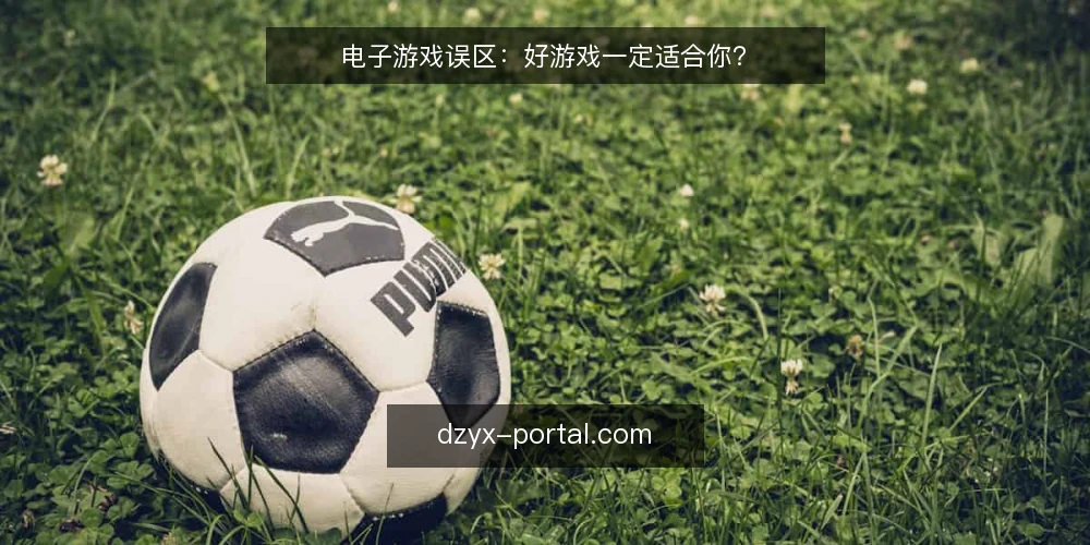 电子游戏误区:好游戏一定适合你? — 为什么现在要重新审视选游标准 配图