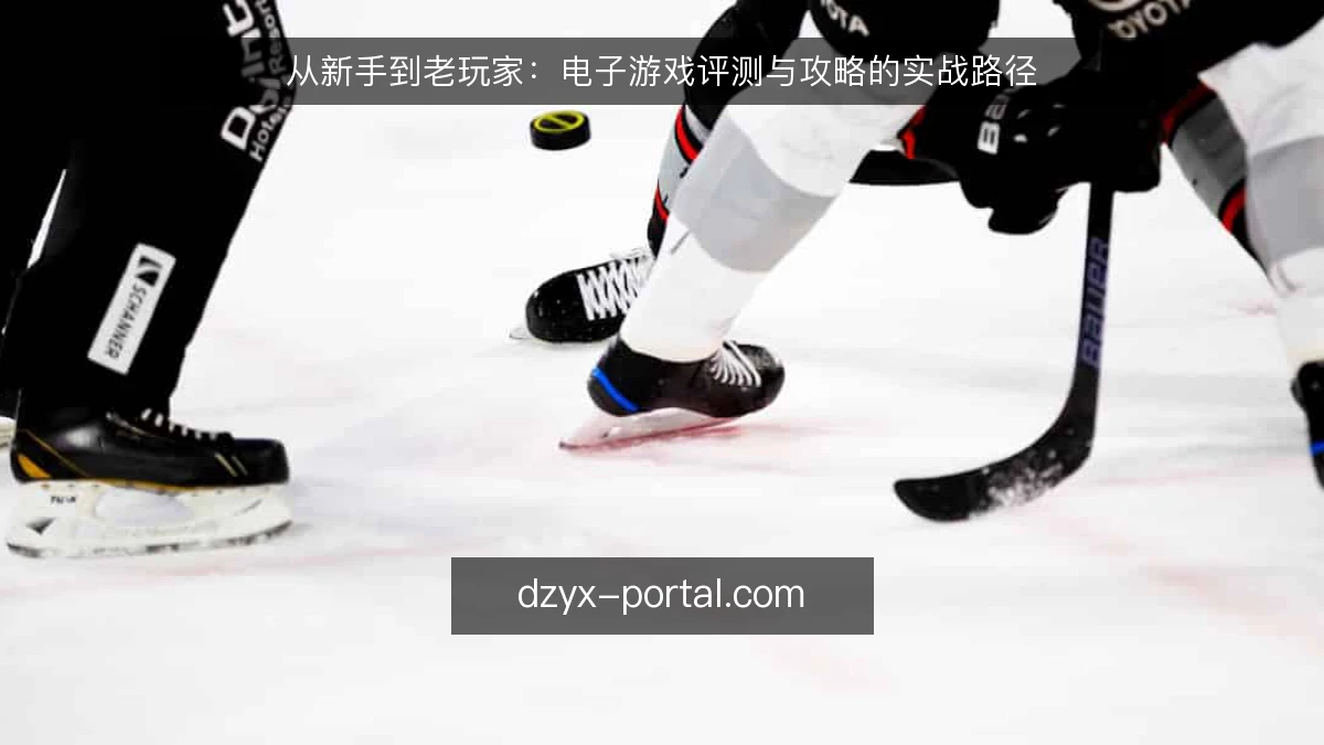 从新手到老玩家：电子游戏评测与攻略的实战路径