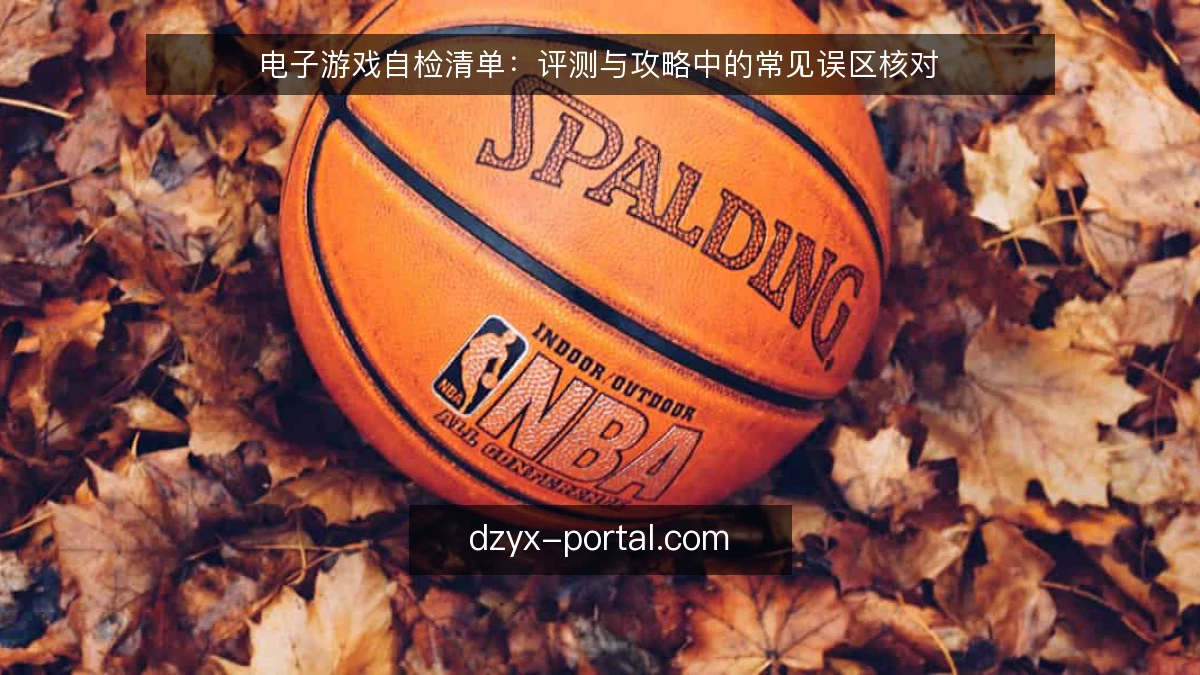 电子游戏自检清单：评测与攻略中的常见误区核对