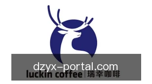 电子游戏
