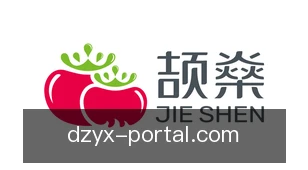 电子游戏
